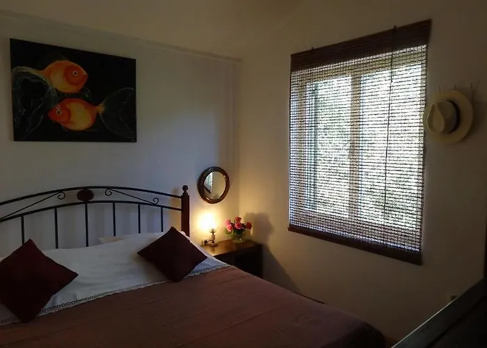 Yellow House Appartamento